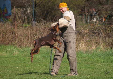 Training 4. 4. 2007